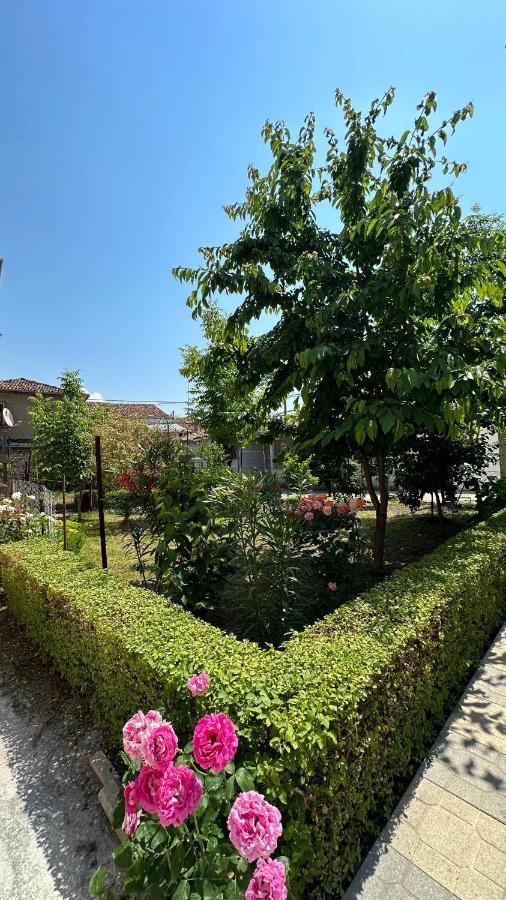 Js House Shkoder 2 Leilighet Eksteriør bilde